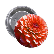 Rosablomma Pins