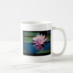 Rosanäckros för blomma 005 kaffe muggar