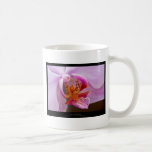 Rosaorchid för blomma 034 kaffe muggar