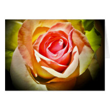 Rose - Für Dich Grußkarten