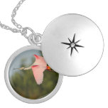 Roseate Spoonbill i flyg Personliga Halsband