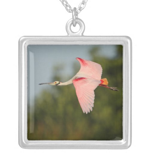 Roseate Spoonbill i flyg Smycken