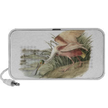 Roseate Spoonbill, John Audubon Minihögtalare
