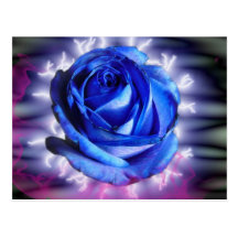 rosebleu vykort