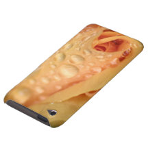 Rosey täcker iPod touch överdrag