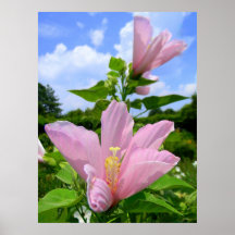 Rosor Print