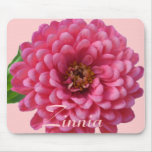 rosor för Zinnia a4 Mus Mattor