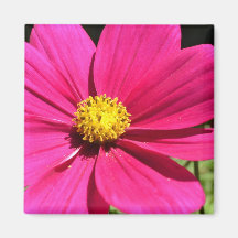 Rosor och gula blommor kylskåpmagneter