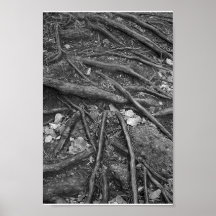 Rotar Posters
