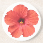 Rött hibiskusunderlägg
