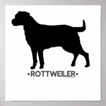 Rottweiler tryck posters