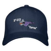 Rovfågel F22 Kepa