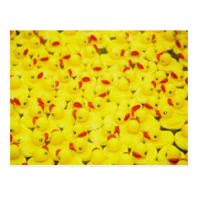 Rubber Duckies Vykort