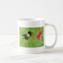 Ruby-throated Hummingbird (manlig) med petuniaen Kaffe Muggar