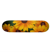 RudbeckiaSkateboard