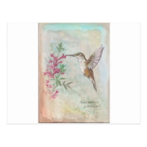 Rufous Hummingbird Vykort