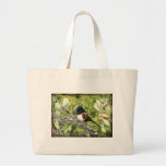 Rufous sidTowheeSparrow Tygkasse