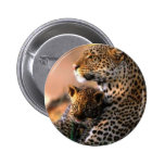 Rundan knäppas med leoparddesign pins