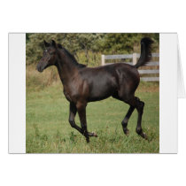 Running-Horse-2 kort