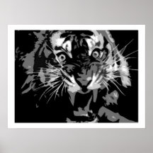 Ryta tigeraffisch
