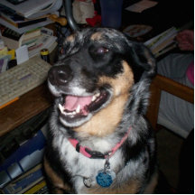 sadie photo cutout