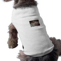 Sadie täckte upp hund tshirt