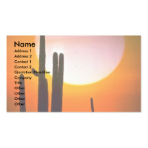 Saguarokaktus, Sonoran öken, USA-öken Visitkort Mall