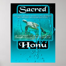 sakral honu posters