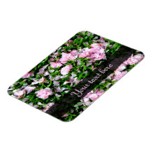 sakura petalsmagnet
