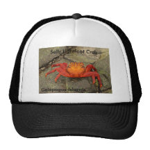 Sally Lightfoot krabba Mesh Kepsar