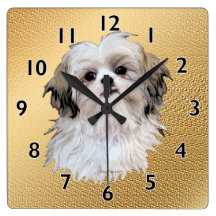 Sally Shih Tzu Klockor