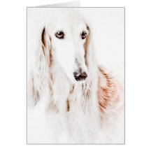 Saluki hund hälsnings kort