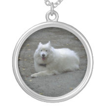 Samoyedhalsband
