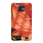 Samsung för Amaryllis 01 galax S2 Samsung Galaxy S2 Fodral