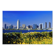 San Diego horisont Fotontryck