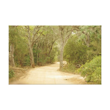 Sand Forest Canvas Print