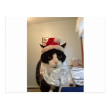 Santa Bennykatt Vykort