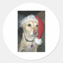 Santa Cutie Klistermärke