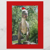 Santa Dinosaur Flygblad Designs