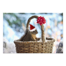 Santa ekorre i snö konstfoto