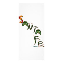 Santa Fe Chilipeppar Anpassade Rackkort