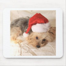 Santa Yorkie Musmatta