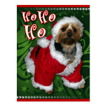 Santa Yorkie vykort