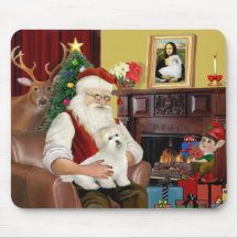 Santas bomull de Tulear (#5) Mus Mattor