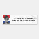 Sarah Palin, utrikespolitik erfar? Bildekal