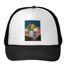 Sashimi. Trucker Kepsar