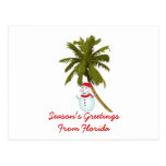 Säsong hälsningar från Florida, snögubbepalmträd Vykort