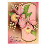 SäsonhälsningarOrchids Vykort
