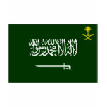 Saudiarabien sjunker Alt T-shirt