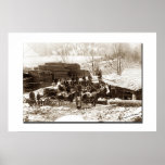 Sawmill